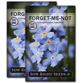 Sow Right Seeds - Forget-Me-Not Seed Packets to Plant (Cynoglossum amabile) - Full Instructions for Planting and Growing a Flower Garden; Non-GMO Heirloom Seeds; Wonderful Gardening Gift (2)