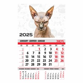 lepni.me Sphinx Cat Wall Calendar 2025 1 Month View | Calendars for cats lovers and Animal Lovers Gifts | 2025 12 Month Мonthly 365 Day Planner