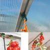 20PCS Plastic Plant Hangers for Greenhouse, Mystear Greenhouse Gadgets Hook