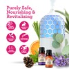 GuruNanda Essential Oils Set for Diffusers, 100% Pure, Aromatherapy, Massage,