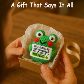 TWPER Birthday Gifts for Women Men Best Friend Retirement Coworker Leaving Going Away Farewell Gifts Inspirational - Cute Positive Crochet Animals Frog Room Office Desk Decor
