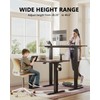 BANTI 48''x24''Height Adjustable Electric Standing Desk, Stand up Table, Sit