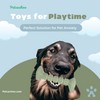 Petcachoo Dog Chew Toys Set