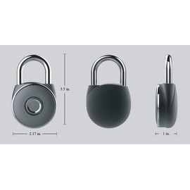 NetBolt 11-1117 Gold Fingerprint Padlock