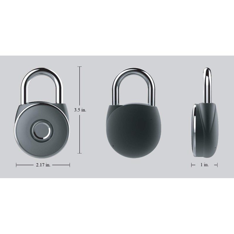 NetBolt 11-1117 Gold Fingerprint Padlock
