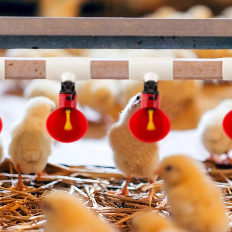 ANCLLO Pack of 6 Automatic Poultry Drinking Cups for Chickens,
