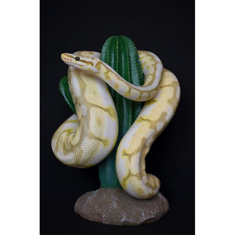 Multi Pet 48593324: Komodo Cactus Plant Saguaro, 9.5In