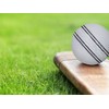 Cricket Ball (Pack Of 2) 156g - 5.5oz, Leather Hnad