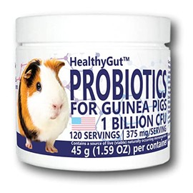 Equa Holistics HealthyGut Probiotics for Guinea Pigs Dietary Supplement, All-Natural Digestive System Formula (120 Servings)