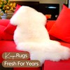 WaySoft Sheepskin Rug Brush with Premium Natural Beech Wood Handle,