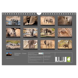 Elefanten - Graue Riesen (Wandkalender 2026 DIN A4 quer), CALVENDO Monatskalender: Elefanten - Graue Riesen aus dem fernen Afrika (CALVENDO Tiere)