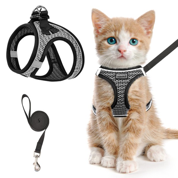 Cat Harness and Leash for Walking Escape Proof, Adjustable Kitten