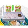 Andescobo Guinea Pig Litter Box Guinea Pig Kitchen for All