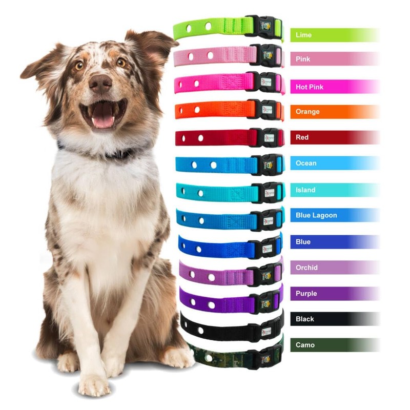 Heavy Duty Nylon Replacement Dog Collar Strap - Compatible with