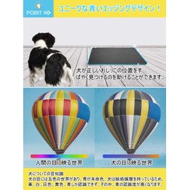 TiTiSNUGY Pet Potty Mat, Pet Mat, Toilet Sheet, Set of 2, 39.4 x 27.6 inches (100 x 70 cm), Underlay Mat, 4-layer Construction, Waterproof, Leak Proof, Quick Drying, Deodorizing, Anti-Slip, Medium and Large Dogs, For Cats and Dogs, Potty Pad, Fully Washa