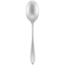 荒澤 Edison Al Facts Jeanne? Yes, Well, Teaspoon, 18 – 10 Stainless Steel 5805