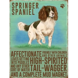 Fridge Magnet - Springer Spaniel Dog