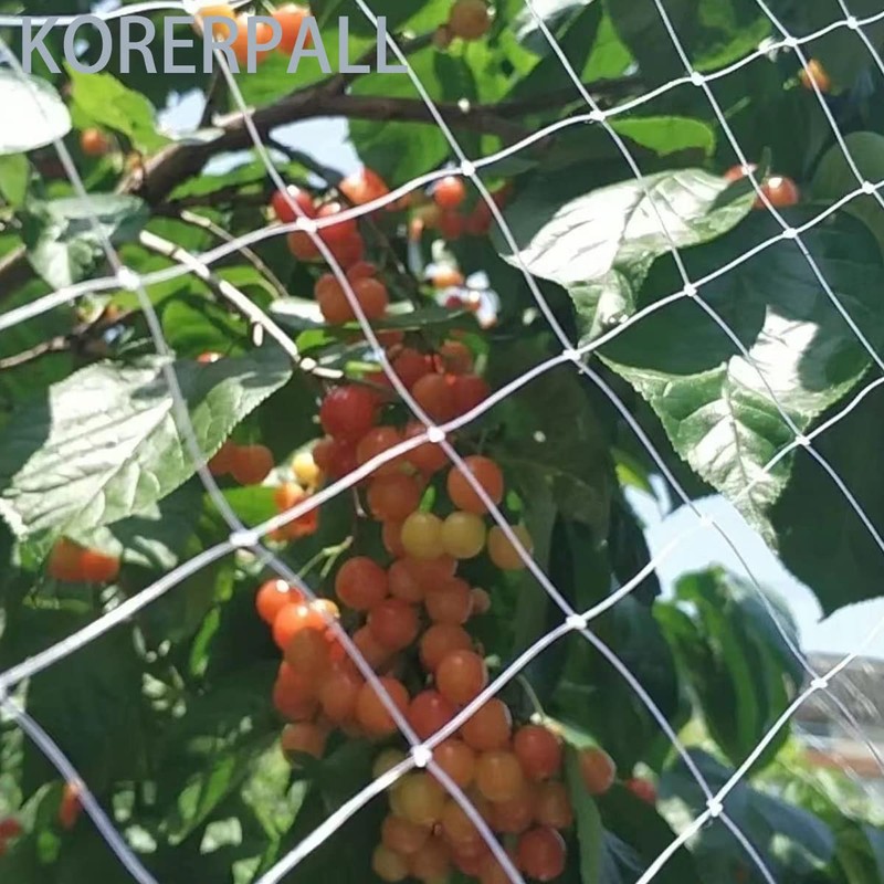 Bird Protection Net, Tight Mesh Bird Net, Bird Protection Net,