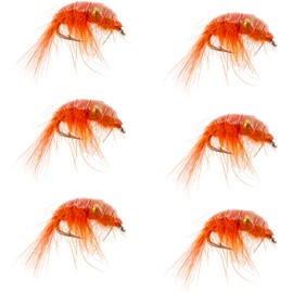 The Fly Fishing Place Orange Beaded Shrimp Scud Patterns- 6 Flies - Size 12 - Tailwater Lake Fly Fishing Nymph Flies