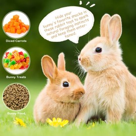 FIDWALL 2-Piece Rabbit Toys,Rabbit Toys Boredom Breaker,Bunny Accessories,Interactive Chew Toys for Small Pets,Hamster Toys,Rat Toys,Fun and Engaging Rabbit Toys,Perfect for Pet Entertainment