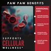 AMALTH Paw Paw Extract 1000 mg (20:1) 120 Capsules |