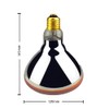 BONGBADA Heat Lamp PAR38 250W 2 Pack Red Infrared Heavy
