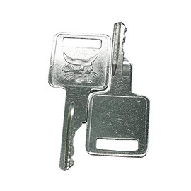 2xD250 Ignition Keys 307852A1 6693241 6709527 714602 A77313 for Bobcat Case IH Skid Steer Terex Broce Genie Grove JLG Komatsu Forklift Volvo 1835B 1835C 1838 1840 CX50 CX60 CX70 CX80 CX90