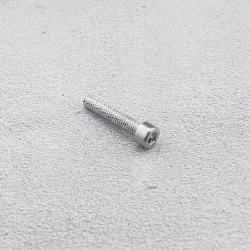 OTOTEC 10PCS M5x 25mm Torx Screws Compatible with Stihl TS400