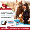 Ivermect Horse Paste 1.87%, for Horse Use Only, 6.08g, 1