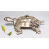 Brass Decorative Turtle Sprinkler - with a Little Turtle on