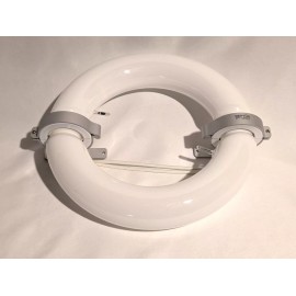 Neptun 200 Watt Induction Circular Bulb, 5000 Kelvin, NICT-C-200850