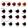 Profesional Tinte Colortech Nutrapel 90gr