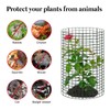 30 Pcs 24'' x 12'' Large Wire Plant Protector from