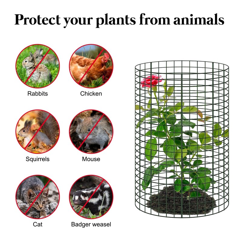 30 Pcs 24'' x 12'' Large Wire Plant Protector from