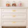Indian Shelf Solid Brass Gold Bow Drawer Knobs (6 Pack)