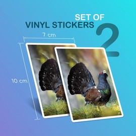 Vinyl Rectangle Vertical (Portrait) Stickers (Set of 2) 10cm - Capercaillie Bird Wildlife Nature for Laptops, Tablets, Luggage, Scrap Booking, Fridges #50453