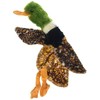 SPOT Skinneeez | Stuffless Dog Toy with Squeaker For All