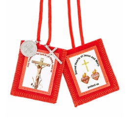 Holy Passion of Our Lord Jesus Christ Red Scapular Medals and a Crucifix + a Free Blessed Prayer Card