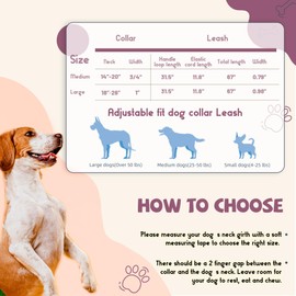 Pawhuggies Gradient Color Dog Collar and Leash Set for Large Dogs, Breathable Adjustable Set for Daily Outdoor Walking and Running, Gradient Purple