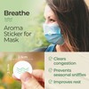 Gya Labs Breathe Aroma Patch for Face Mask, 5 Packs