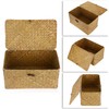 Hipiwe Wicker Shelf Baskets Bin with Lid, Handwoven Seagrass Basket