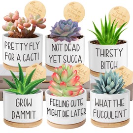 6pcs Funny Succulent Plant Pots, 3.15'' Ceramic Small Succulent Planters with Drainage Hole and Bamboo Tray, Cute Flower Pots for Indoor/Outdoor Plants, Birthday Gifts for Women - Plants Not Included