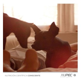 Nupec Premios Relax Anti Estrés 180 Gr