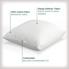 AllerEase Cotton Fresh Pillow, Euro - 2 Pack