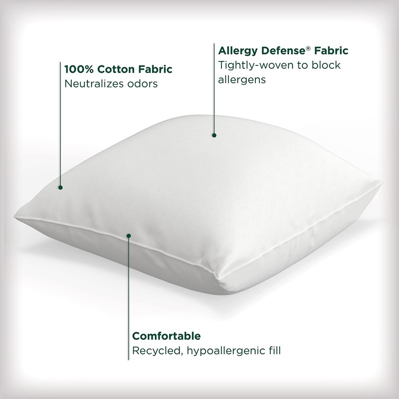 AllerEase Cotton Fresh Pillow, Euro - 2 Pack