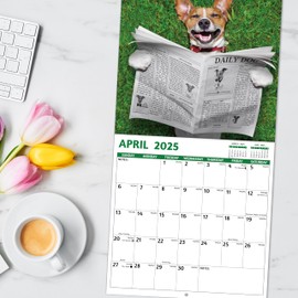 2025 Calendar, 2025 Wall Calendar, Cool Dog Calendar 2025 from Jan. 2025 - Dec. 2025, 12" x 24" (Open), 12-Month Funny Dogs Wall Calendar, Large Blocks, Thick Paper, Hanging Holes, Ample Writing Space