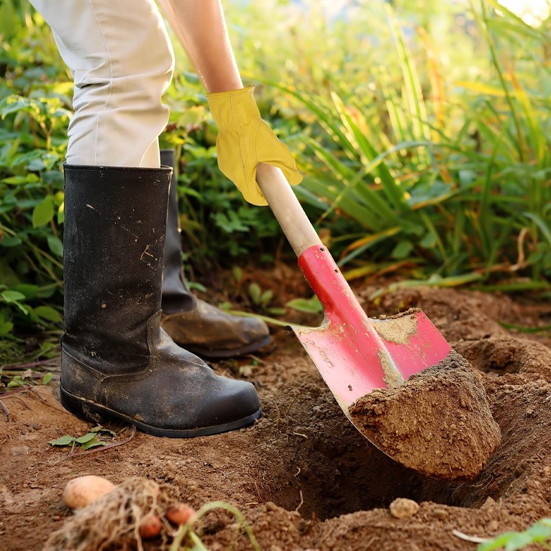 MECCANIXITY Goatskin Leather Work Gloves with Hook and Loop, Driver
