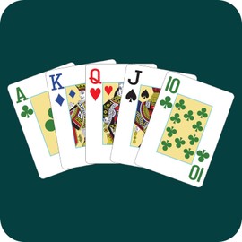 Generic 2 Decks Waterproof Plastic Playing Cards, Four Color Faces, Large Print - Red & Blue, Jumbo Index, Black, Green