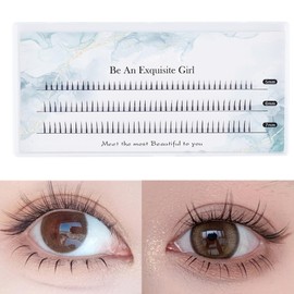 ZHEJIA Partial False Eyelashes, Natural, Actress Eyelashes, Partial Eyelashes, Lower Eyelashes, Popular, DIY, Long Lasting, Natural, Easy 5-6-7 mm