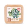 Verterra Compostable Palm Leaf 8-inch Square Disposable Plate, Heavy Duty,